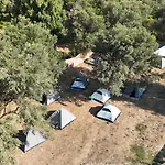 Borsh Olive Camping