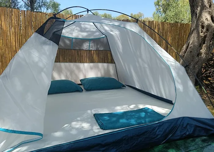 Borsh Olive Camping