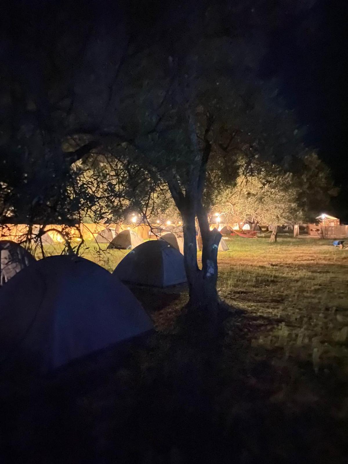 Olive Campsite