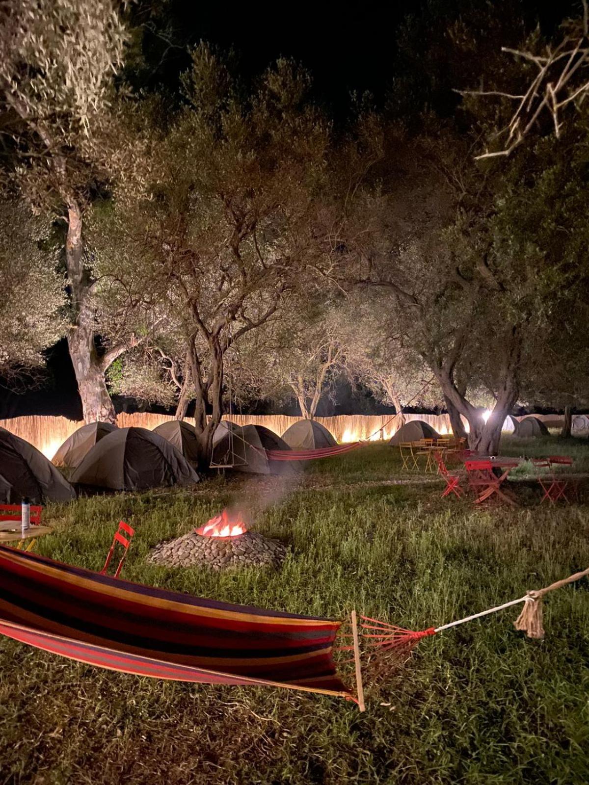 Olive Campsite