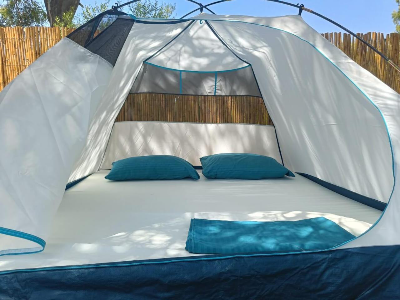 Olive Campsite