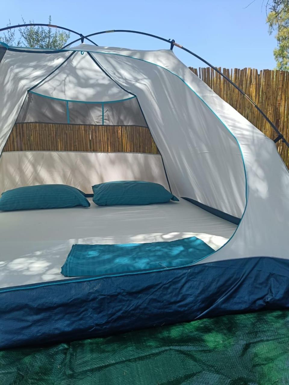 Campsite Olive Borsh