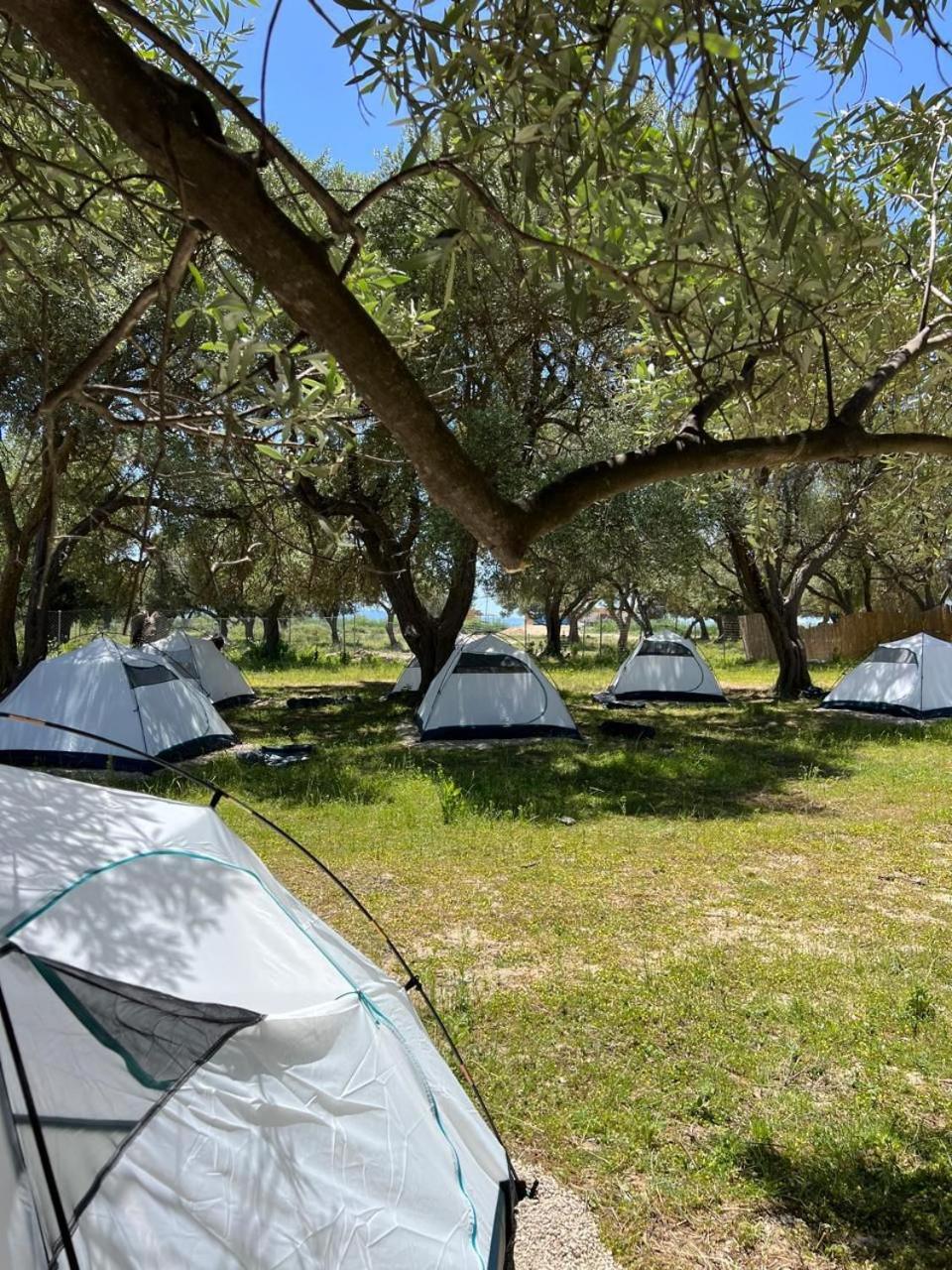 Olive Campsite *