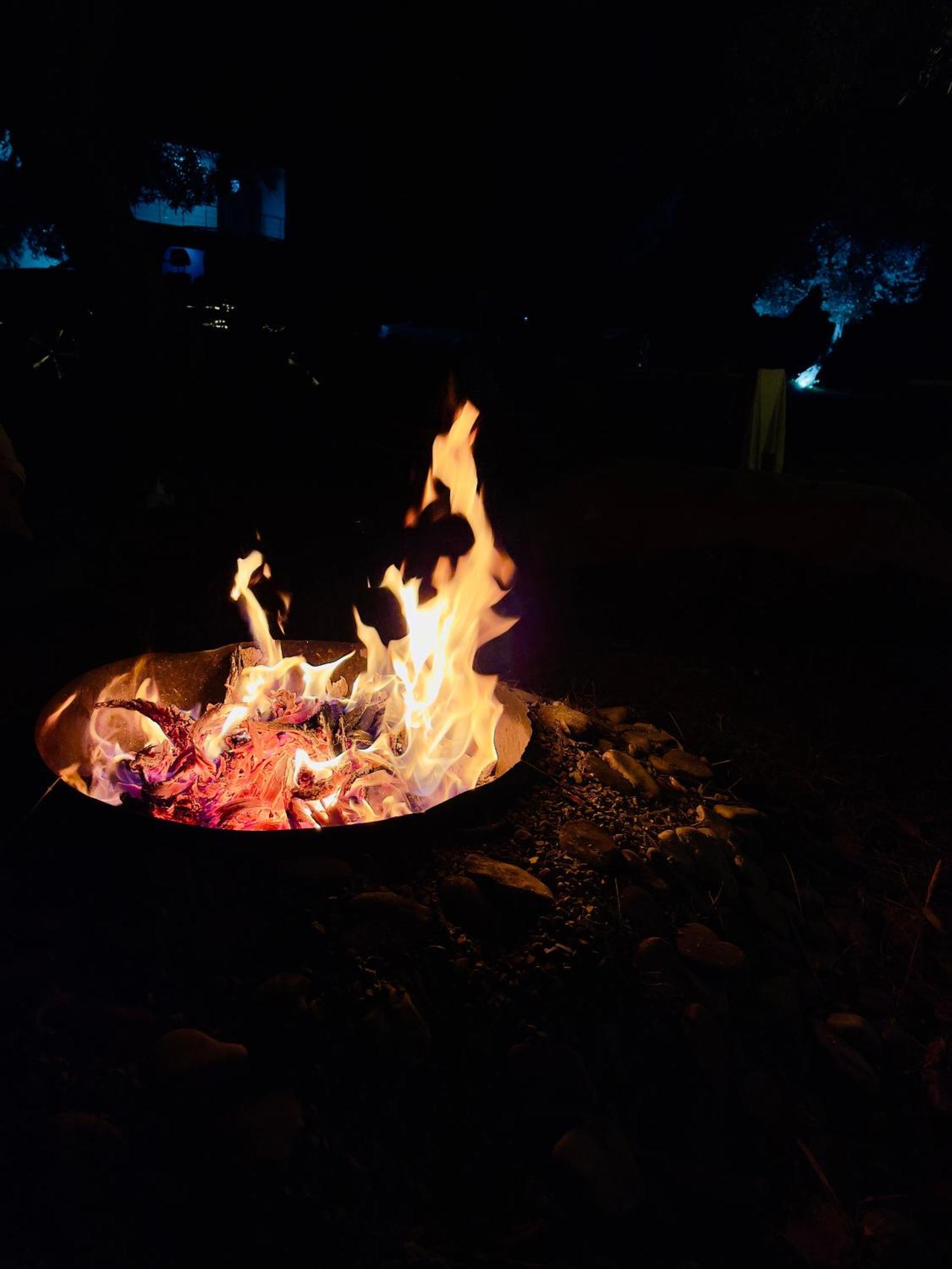 Campsite Olive Borsh