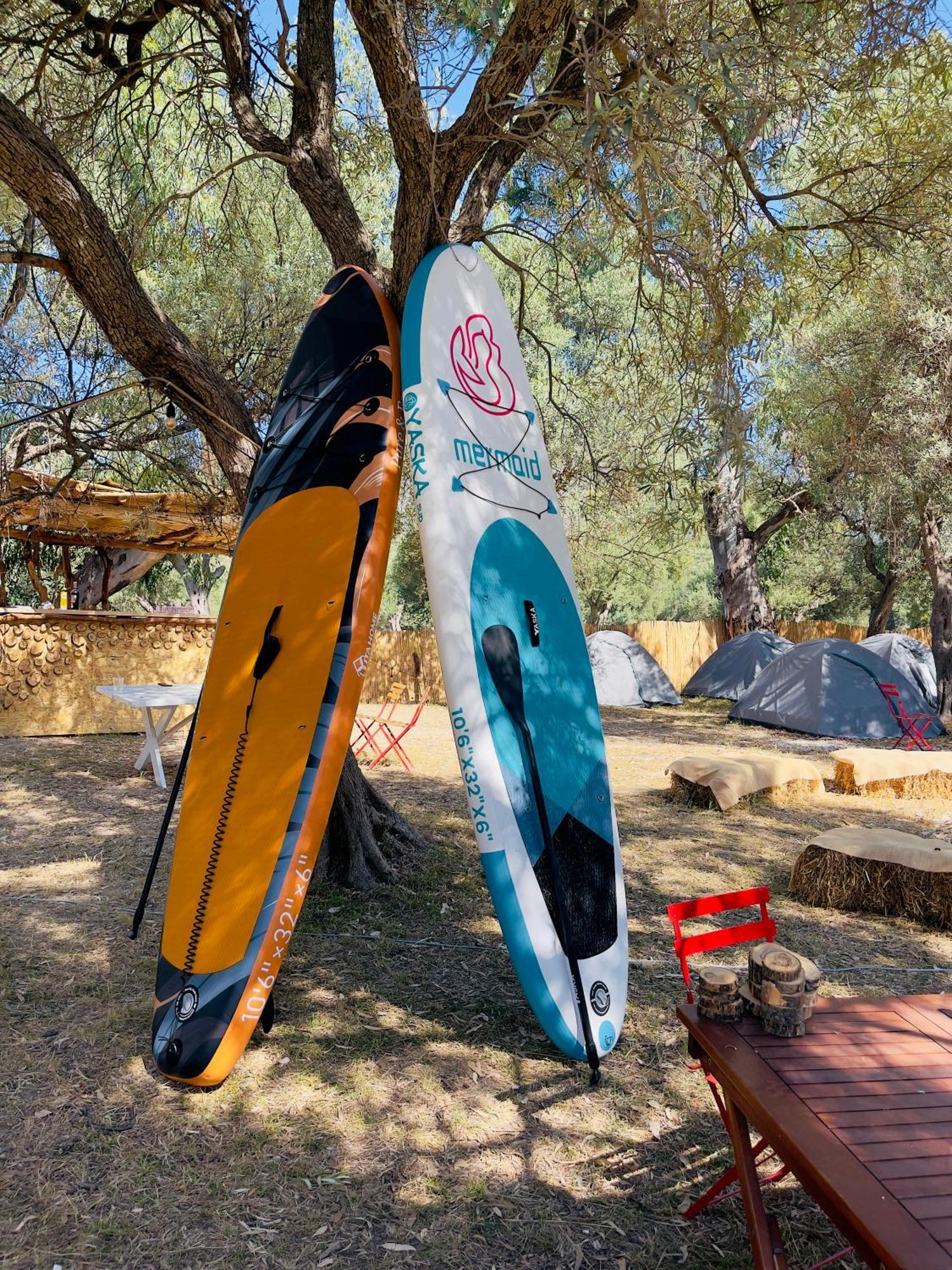 Campsite Olive