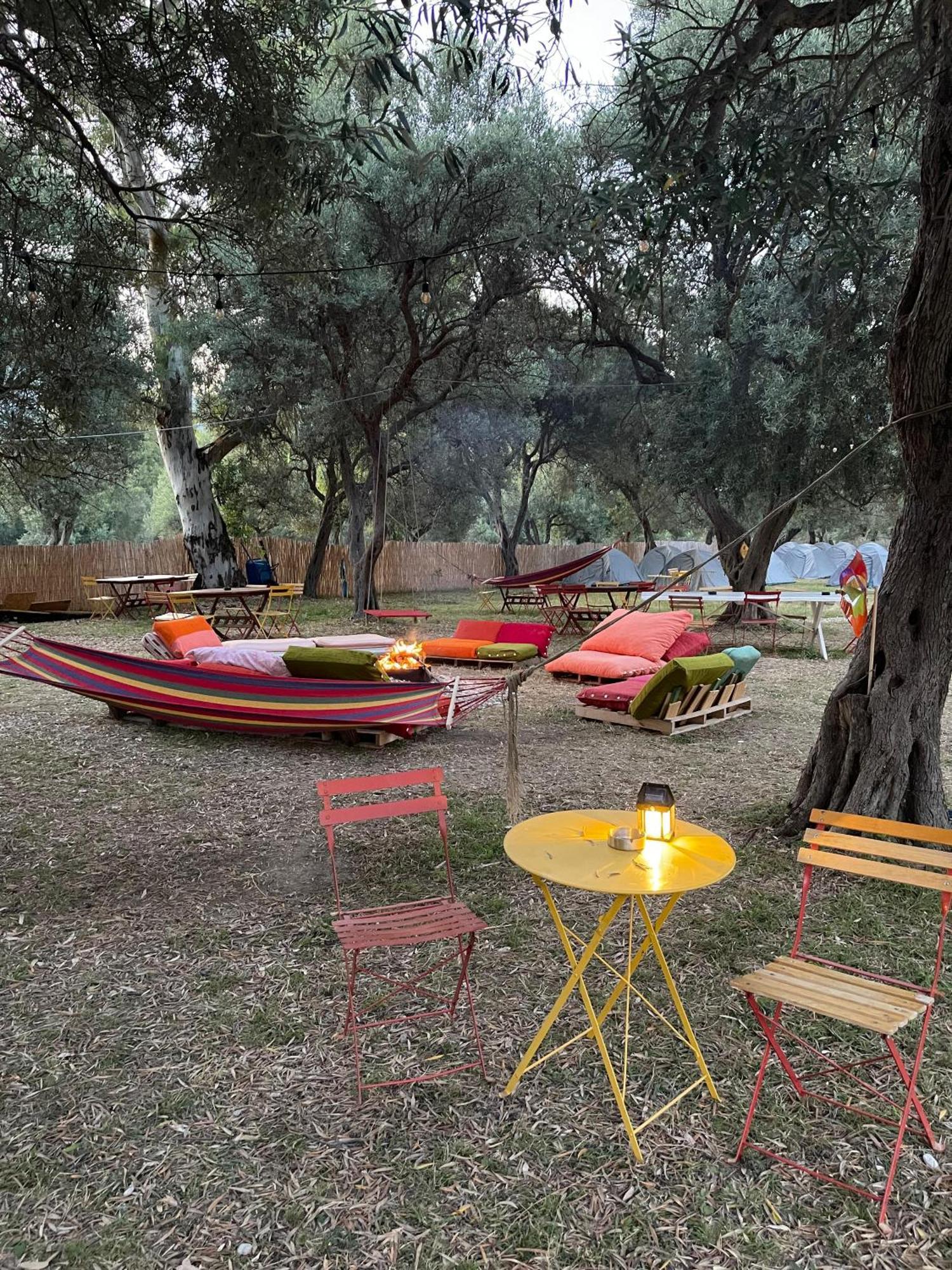 Campsite Olive Borsh