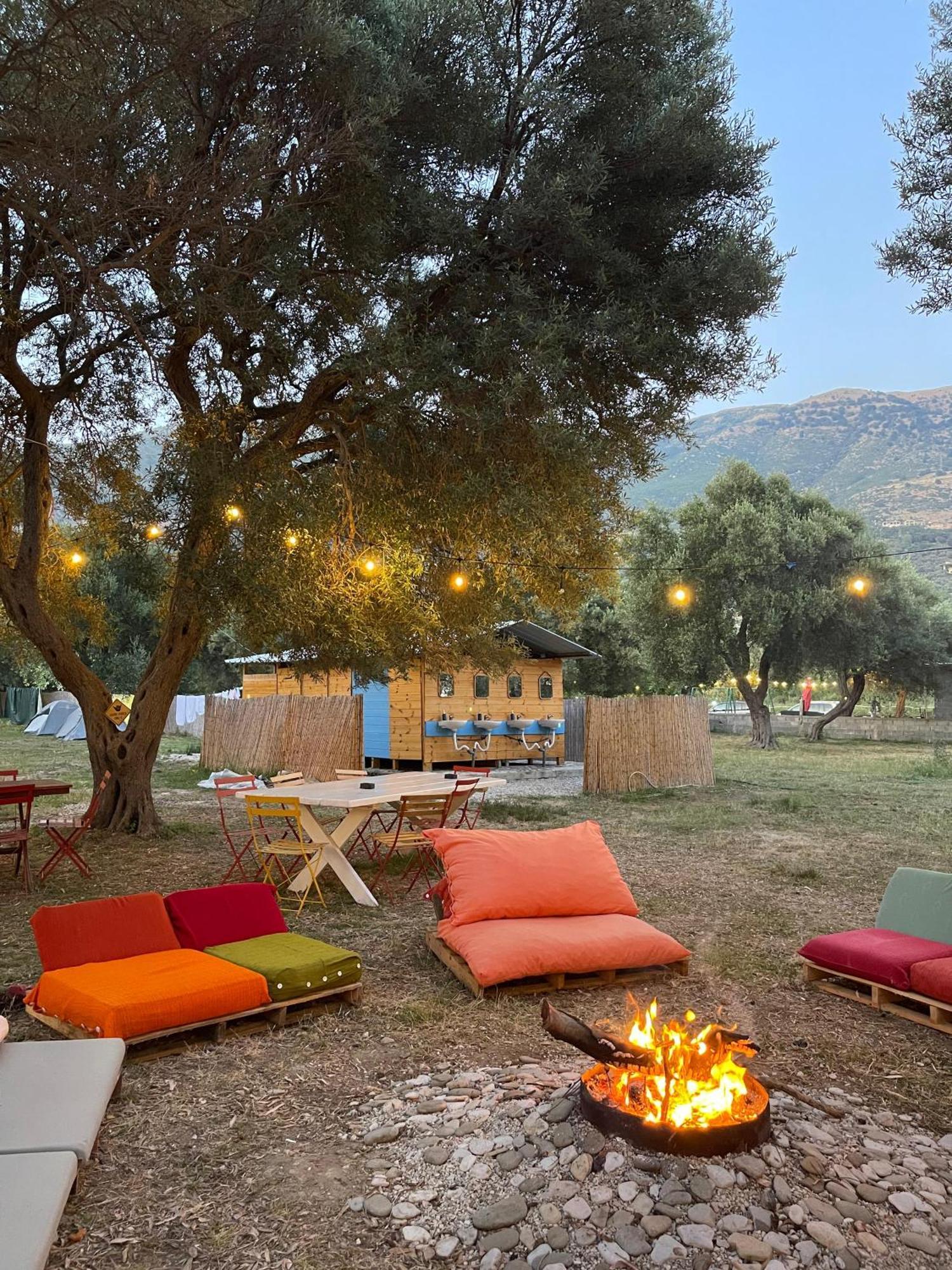 Olive Campsite Borsh